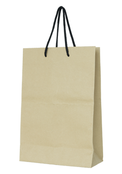 Brown paper bag isolated with clipping path for mockup png