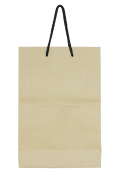 Brown paper bag isolated with clipping path for mockup png