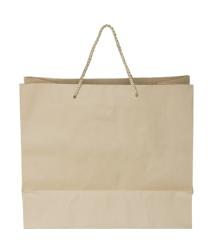 brown paper bag isolated with clipping path for mockup png