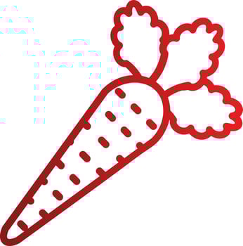 Carrot Vector icon