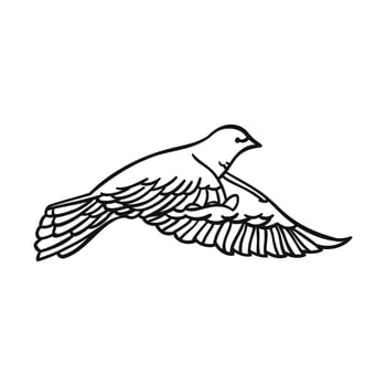 Beautiful dove in a linear style on a white background. Side view. For design and illustration. Vector illustration.