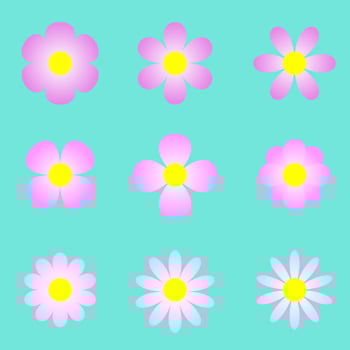 Vector illustration beautiful pink flower set green background,Collection daisy flower love bloom spring