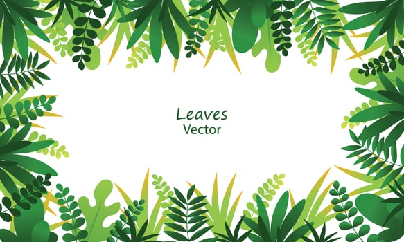 Exotic jungle tropical palm leaves vector