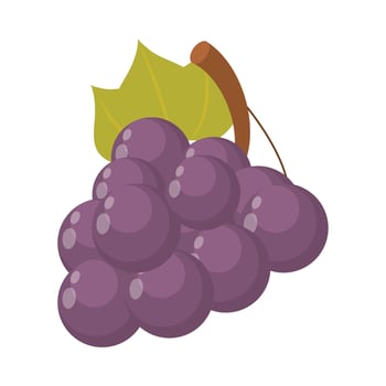 grapes fruit food vector