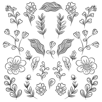 Vector Hand drawn flower and leaf elements, Vintage flowers doodle collection design, template, wedding card, invitation, greeting card, poster, postcard.