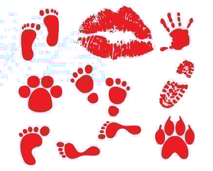Footprints of human shoes silhouettes, vector set, isolated on white background. Print sole shoes. Foot prints, boots, sneakers. Barefoot, lips and dog display icon