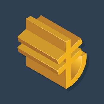 Lira - Isometric 3D illustration. vector