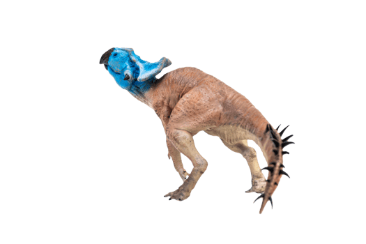 Protoceratops  , dinosaur on  isolated background png