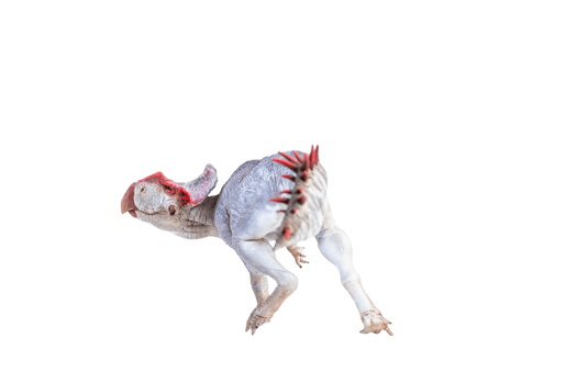 Protoceratops  , dinosaur on  isolated background png