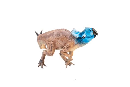 Protoceratops  , dinosaur on  isolated background png