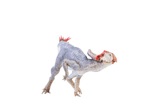 Protoceratops  , dinosaur on  isolated background png