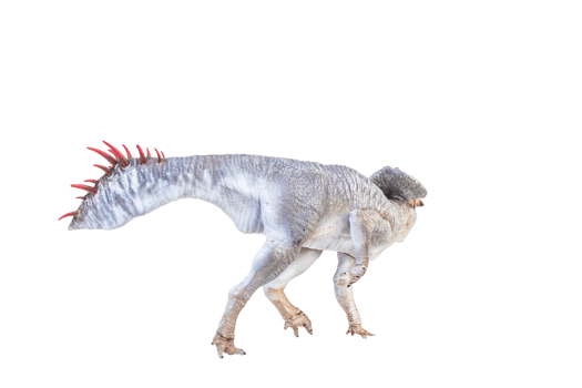 Protoceratops  , dinosaur on  isolated background png
