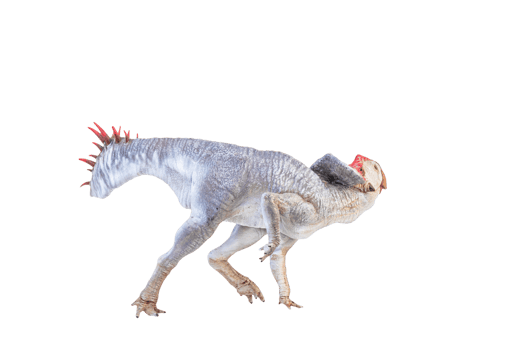 Protoceratops  , dinosaur on  isolated background png