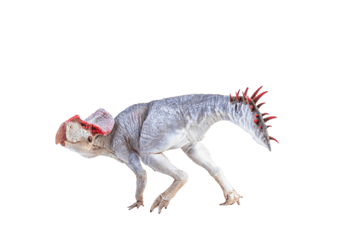 Protoceratops  , dinosaur on  isolated background png