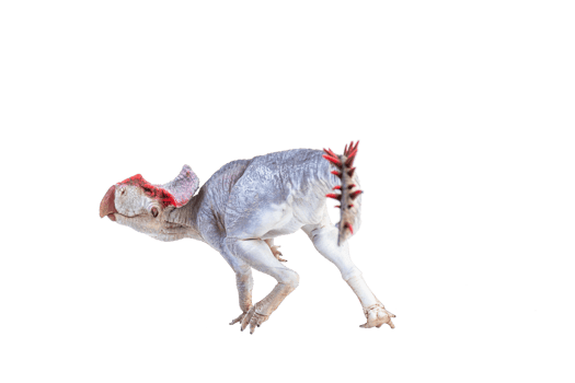 Protoceratops  , dinosaur on  isolated background png