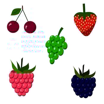 a set of raspberries, strawberries, grapes, cherries, blackberries. Vector isolated on a white background