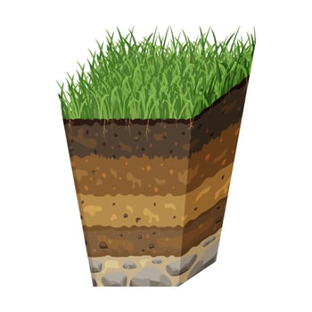 Soil in section. Volumetric image of structure of earth. Sector with layers of black soil and grass. vector