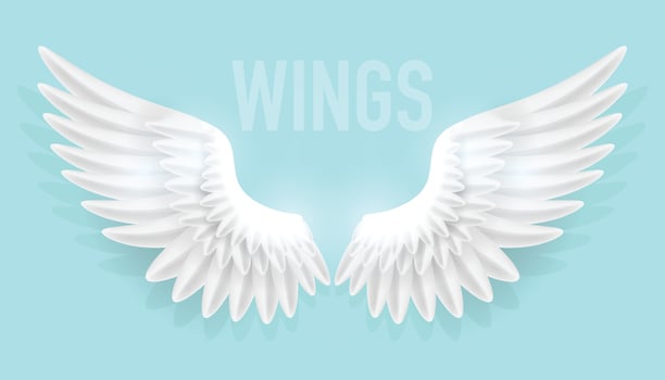 Vector illustration of realistic angel wings isolated on plain background