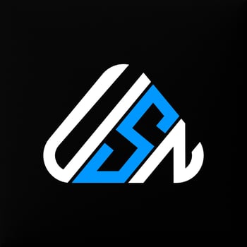 USN letter logo creative design with vector graphic, USN simple and modern logo.