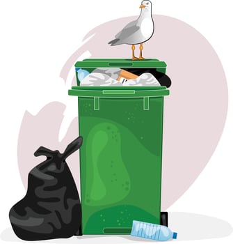 Seagull on rubbish bin vector