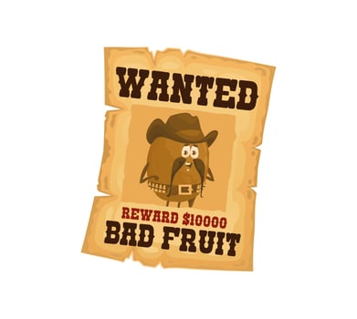 Western wanted poster with kiwi cowboy character vector
