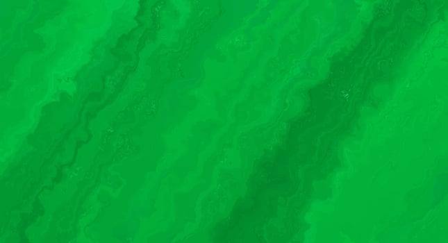Creative fluid colors background. Trendy design. vector