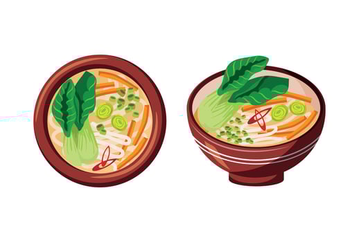 Asian Vegetarian Vegetable Noodle Soup, Traditional Dish. 2 Plates With Food, Close-up. White Background, Isolated Object. Traditional Japanese Soup. Healthy Food, Seafood vector
