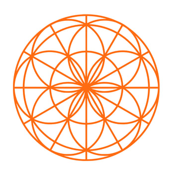 Abstract geometric pattern of round shape vector