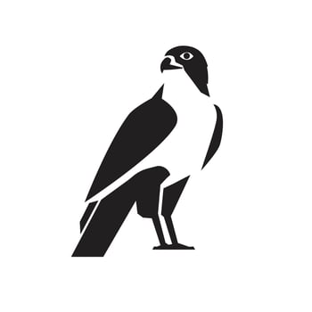 falcon bird silhouette vector