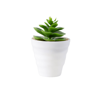 Houseplant in pot cutout, Png file