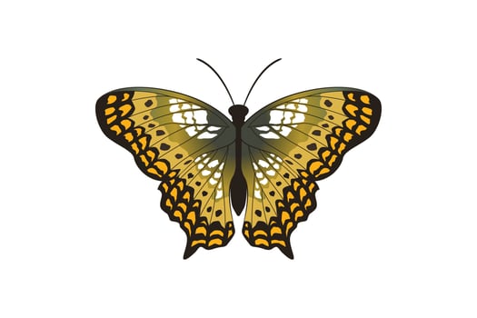 vector graphic of flying butterfly in a top view isolated on white background.