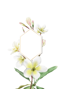 Wedding invitation with plumeria flowers illustration png