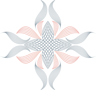 flower petals, floral ornament, decorative design element png