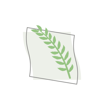 Aesthetic Leaf Organic Blobs Shape png