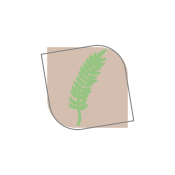 Aesthetic Leaf Organic Blobs Shape png