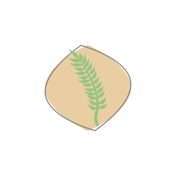 Aesthetic Leaf Organic Blobs Shape png