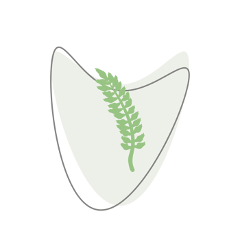 Aesthetic Leaf Organic Blobs Shape png