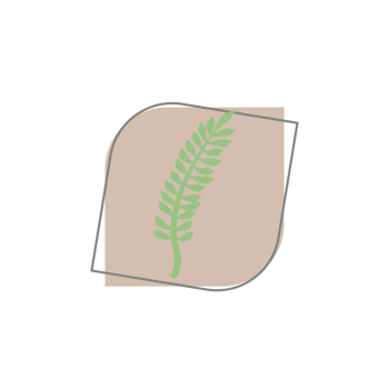 Aesthetic Leaf Organic Blobs Shape png