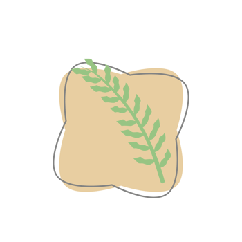 Aesthetic Leaf Organic Blobs Shape png