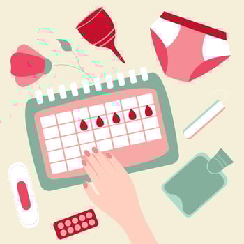 Menstrual calendar for menstruation control and pregnancy planning. Red signs of menstrual cycle. vector