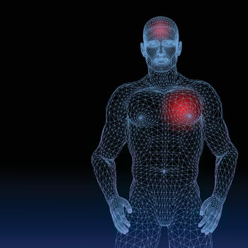 Abstract vector illustration of human body on white background.
