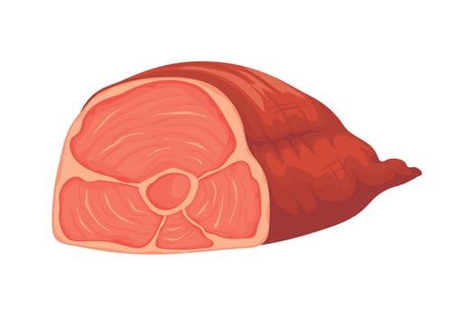 meat pork leg vector
