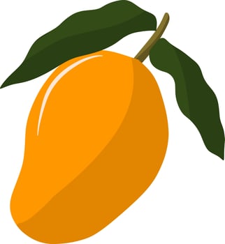 Freshly fruit mango vector