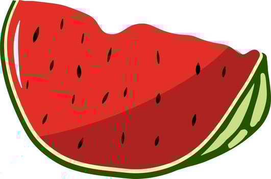 Freshly fruit watermelon vector