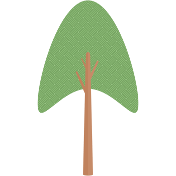 Flat Tree Style Aesthetic Collection Set png