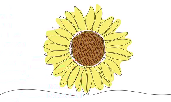 Hand draw sunflower with color. Vector illustration. One continuous line. Line art.