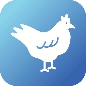 Beautiful Chicken Glyph Vector Icon