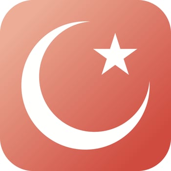 Beautiful Moon and Star Glyph Vector Icon