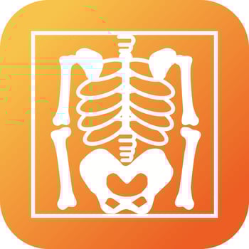 Beautiful Skeleton Vector Glyph icon