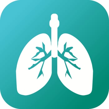 Beautiful Lungs Vector Glyph icon